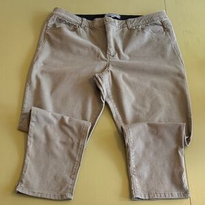 Wit & Wisdom Womens Olive Green Pants